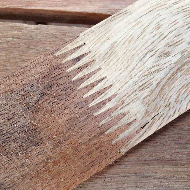 RASTREL FINGER-JOINT